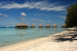 Click here to view the photos available in this gallery.